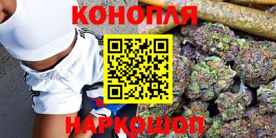 гашик Аргун