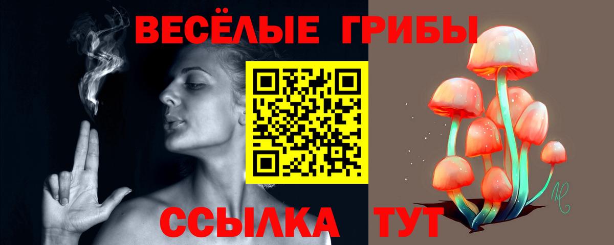 Галлюциногенные грибы Psilocybine cubensis Хабаровск